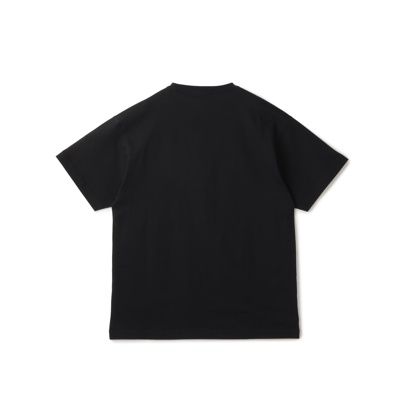 Tシャツ 彩-あや- 第一景